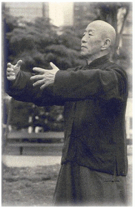 Sifu Lam Leung Ting